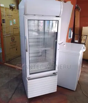 Medium Canopy Display Fridge - Lita 300