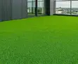 Artificial Lawn Grass Carpet - 1