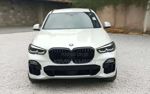 BMW X5 xDrive35d 2019 - 1