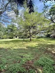 4 Bedroom House for Sale in Old Muthaiga - 3