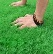 Artificial Turf Grass for Gardens & Staircase - 2