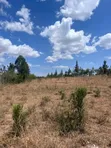 50x100 Residential Plots for Sale in Ngong Matasia - 1