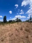 50x100 Residential Plots for Sale in Ngong Matasia - 3