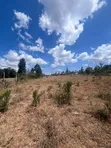 50x100 Residential Plots for Sale in Ngong Matasia - 5