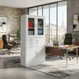Lockable Executive Office Cabinet with Secure Safe - 4