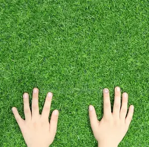 Artificial Grass Carpet - Easy-Care Green Decor