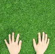 Artificial Grass Carpet - Easy-Care Green Decor - 1