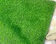Artificial Grass Carpet - Easy-Care Green Decor - 2
