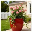 Ruby Luxe Flower Vase Planter 32x33cm - 1