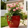 Ruby Luxe Flower Vase Planter 32x33cm - 2