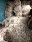 Boma Rhodes Grass Hay Square Bale - 2