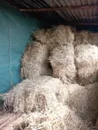 Boma Rhodes Grass Hay Square Bale - 3