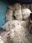 Boma Rhodes Grass Hay Square Bale - 5