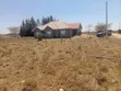 50x100 Prime Plot in Kitengela Thorn Groove - 1