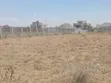 50x100 Prime Plot in Kitengela Thorn Groove - 2