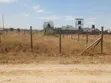 50x100 Prime Plot in Kitengela Thorn Groove - 3