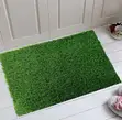 Artificial Grass Door Mats - 2