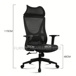 Ergonomic Lumbar Support Office Chair - Brand New