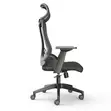 Ergonomic Lumbar Support Office Chair - Brand New - 3
