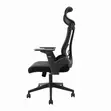 Ergonomic Lumbar Support Office Chair - Brand New - 4