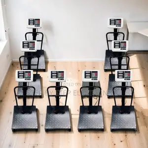 Digital Platform Weighing Scales (100kg-300kg)