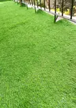 Natural Appearance Artificial Grass Carpet - 1