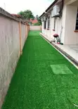Natural Appearance Artificial Grass Carpet - 2