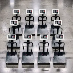 Digital Platform Weighing Scales - 100kg hadi 300kg