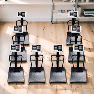 Digital Platform Weighing Scales (100kg-300kg)