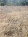 50x100 Land for Sale in Kiserian - 4