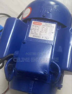Astra Milano 2HP Heavy-Duty Motor