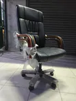 Imported Wooden Arms Executive Office Chair - 2