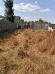 Plot for Sale in Joska, 80x40 - 2