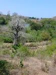 5 Acres Freehold Land for Sale in Kilifi Near Mavueni Centre - 1