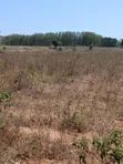 5 Acres Freehold Land for Sale in Kilifi Near Mavueni Centre - 2