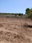 5 Acres Freehold Land for Sale in Kilifi Near Mavueni Centre - 4