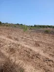 5 Acres Freehold Land for Sale in Kilifi Near Mavueni Centre - 5