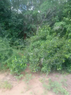 Eneo la Eka 200 Linauzwa Malindi Baricho