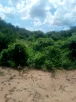 Eneo la Eka 200 Linauzwa Malindi Baricho - 2