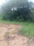 Eneo la Eka 200 Linauzwa Malindi Baricho - 3