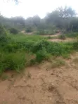 Eneo la Eka 200 Linauzwa Malindi Baricho - 4