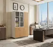Executive Three-Door Office Cabinet - Polished Finish - 2