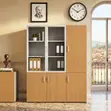 Executive Three-Door Office Cabinet - Polished Finish - 5