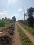 Thika, Maguguni: 1/4 Acre Plot, 2nd Row from Tarmac - 2