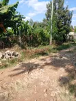 Thika, Maguguni: 1/4 Acre Plot, 2nd Row from Tarmac - 4