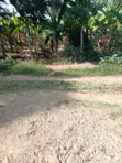 Thika, Maguguni: 1/4 Acre Plot, 2nd Row from Tarmac - 5