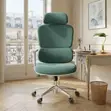 Orthopedic Executive Office Chair with Lumbar Support - 2