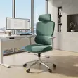 Orthopedic Executive Office Chair with Lumbar Support - 4