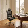 Executive Ergonomic Orthopedic Office Chair - Black - 4