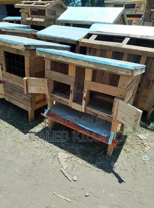 Durable Wooden Rabbit Hutch - 2 Compartments
